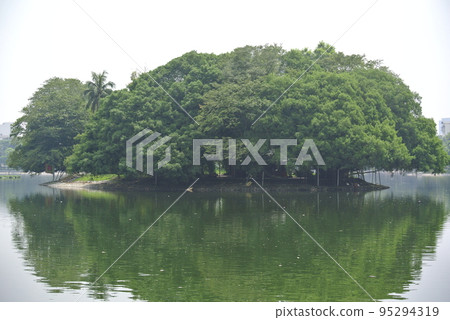 Island 95294319