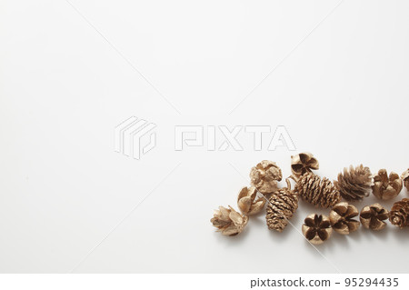 松果和堅果漆成金色 95294435