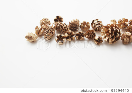 松果和堅果漆成金色 95294440