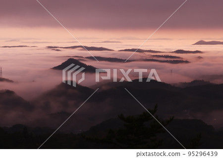 雲海3978 95296439