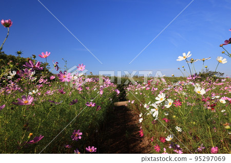 Cosmos 3558 Cosmos 3558 95297069
