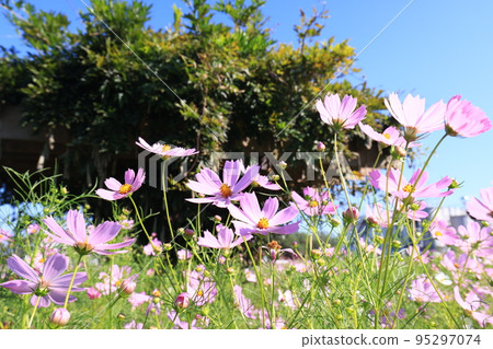 Cosmos 3567 Cosmos 3567 95297074