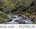 北海道白老井的山間溪流 95298116