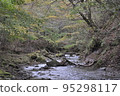 北海道白老井的山間溪流 95298117