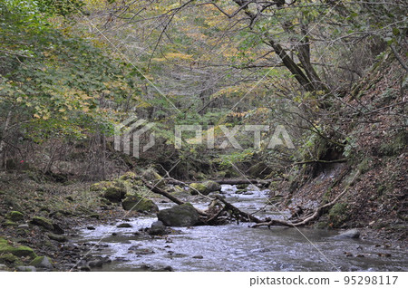 北海道白老井的山間溪流 北海道白老井的山間溪流 95298117