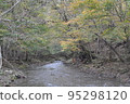 北海道白老井的山間溪流 95298120