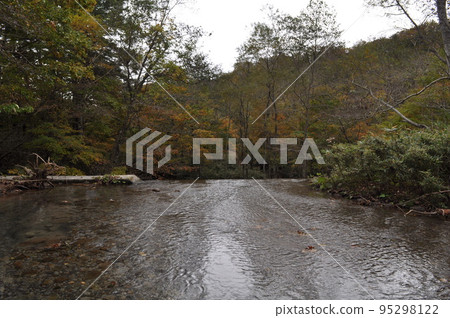 北海道白老井的山間溪流 北海道白老井的山間溪流 95298122