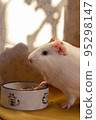 Little guinea pig in home office pet care 95298147