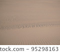 Tottori Sand Dunes 95298163