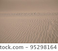 Tottori Sand Dunes 95298164