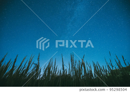 Bottom view of beautiful night starry sky from green grass in summer. Night stars above meadow in august month 95298504
