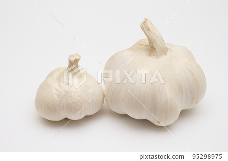 large and small garlic cloves 95298975