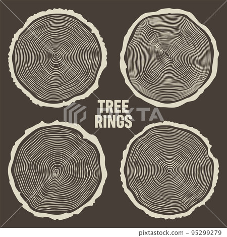 Round tree trunk cuts, sawn pine or oak slices, lumber. Saw cut timber, wood. Brown wooden texture with tree rings. Hand drawn sketch. Vector illustration 95299279