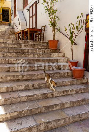Greece, Nauplia, Cat descending the steps of a staircase in the old town Greece, Nauplia, Cat descending the steps of a staircase in the old town 95299285