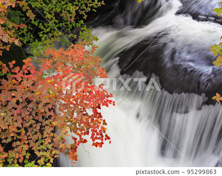 Nikko City Ryuzu Falls in Autumn 95299863
