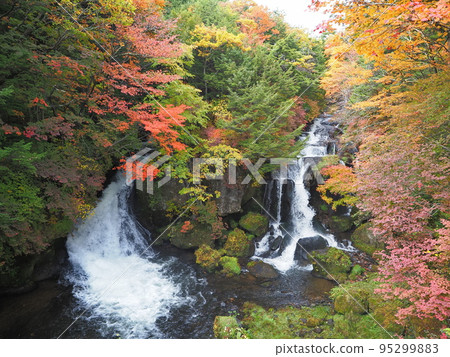 Nikko City Ryuzu Falls in Autumn 95299883