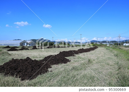 Cow dung compost making 95300669