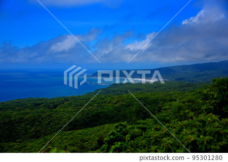 Shikoku, Cape Muroto, beautiful coastline scenery in the direction of Kochi seen from Takaokaenchi Observation Deck, Murotomisaki Town, Kochi Prefecture (1) 95301280