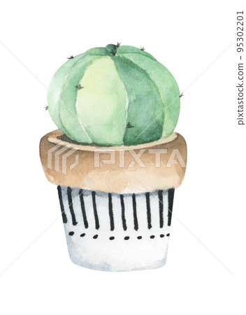 Cactus potted. Watercolor illustration. Cactus potted. Watercolor illustration. 95302201