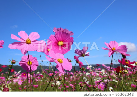 Cosmos 4284 Cosmos 4284 95302348