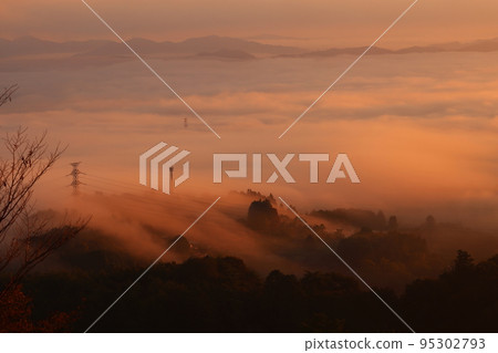 雲海 4056 雲海 4056 95302793