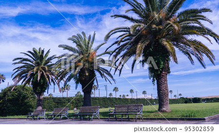 龍陽海濱公園 95302859