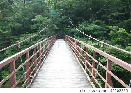 鬼怒川溫泉鄉鬼怒溪谷 平流瀧見橋(吊橋)的風景 鬼怒川溫泉鄉鬼怒溪谷 平流瀧見橋(吊橋)的風景 95302883