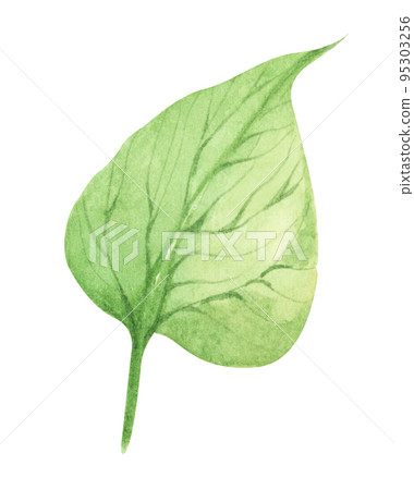 Green leaf. Watercolor illustration. 95303256