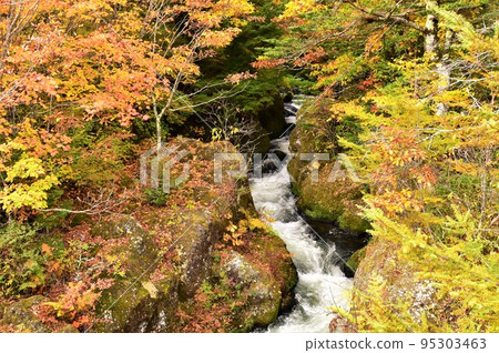 奧日光龍頭瀑布的紅葉（瀧上） 95303463