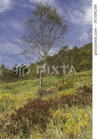 Autumn highland scenery Autumn leaves on the shores of Lake Nozori, Gunma Prefecture 95304284