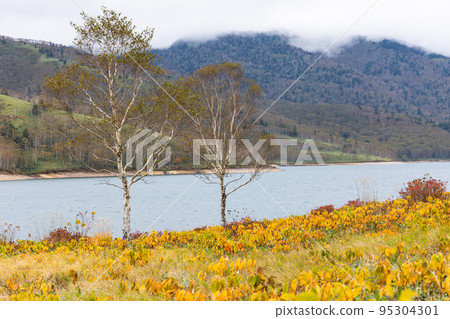 Autumn highland scenery Autumn leaves on the shores of Lake Nozori, Gunma Prefecture 95304301