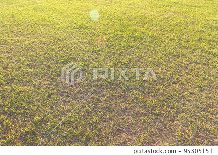 Lawn Lawn 95305151