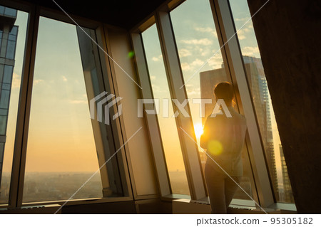 Back view of woman looking at cityscape through window of skyscraper Back view of woman looking at cityscape through window of skyscraper 95305182