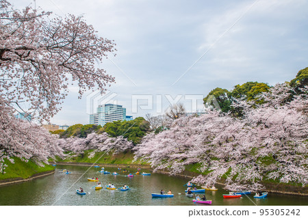 東京千鳥淵，櫻花風光 95305242