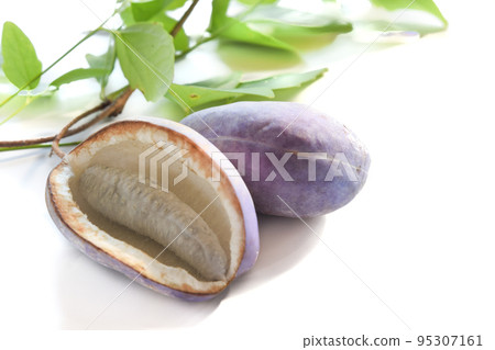 明美 明美 95307161