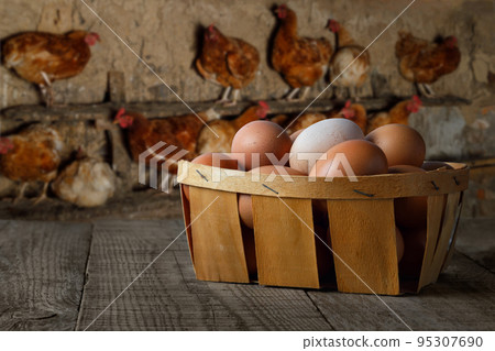 basket full of chicken eggs on table with hens on the roost 95307690