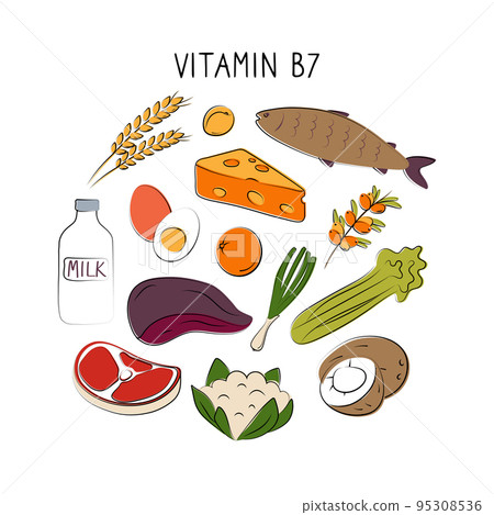 Vitamin B7 Biotin. Groups of healthy products containing vitamins. Set of fruits, vegetables, meats, fish and dairy 95308536