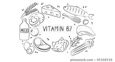 Vitamin B7 Biotin. Groups of healthy products containing vitamins. Set of fruits, vegetables, meats, fish and dairy Vitamin B7 Biotin. Groups of healthy products containing vitamins. Set of fruits, vegetables, meats, fish and dairy 95308539