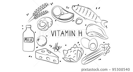 Vitamin H Biotin. Groups of healthy products containing vitamins. Set of fruits, vegetables, meats, fish and dairy. Vitamin H Biotin. Groups of healthy products containing vitamins. Set of fruits, vegetables, meats, fish and dairy. 95308540