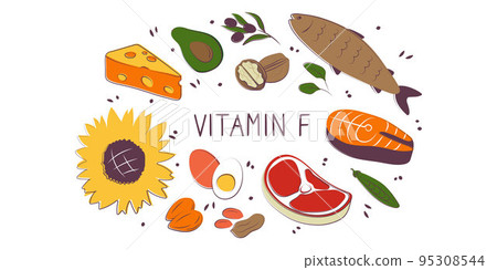 Vitamin F linoleic linolenic Acid. Groups of healthy products containing vitamins. Set of fruits, vegetables, meats, fish and dairy Vitamin F linoleic linolenic Acid. Groups of healthy products containing vitamins. Set of fruits, vegetables, meats, fish and dairy 95308544