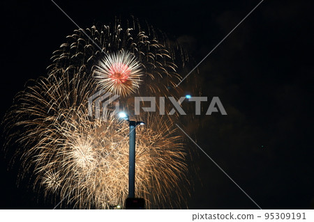 煙花節 煙花節 95309191