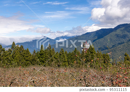 福壽山 雲海 95311115