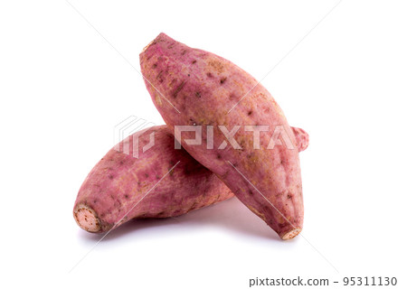 isolated sweet potato 95311130