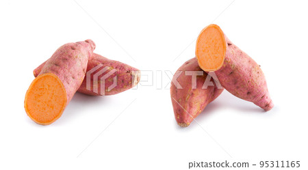 isolated sweet potato 95311165