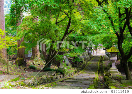 [Summer material] Blue maple at Kiyomizu Temple in Nagano Prefecture [Nagano Prefecture] 95311419