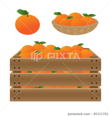 籃子/木盒中的橘子插圖 95311701