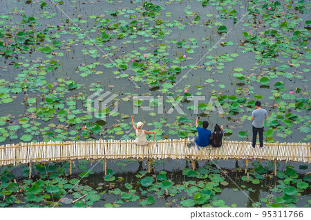 Top view of Asian tourists enjoy taking pictures on bamboo bridge over river with many lotuses. Happiness couple spending time together outside in water nature. Scenery view of people with lotus pond. Top view of Asian tourists enjoy taking pictures on bamboo bridge over river with many lotuses. Happiness couple spending time together outside in water nature. Scenery view of people with lotus pond. 95311766