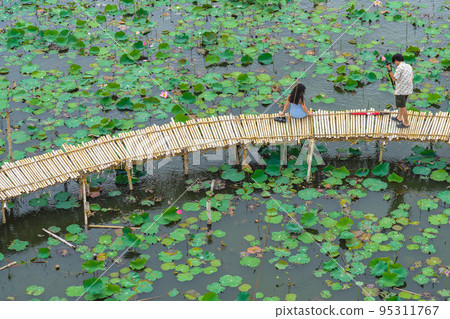 Top view of Asian tourists enjoy taking pictures on bamboo bridge over river with many lotuses. Happiness couple spending time together outside in water nature. Scenery view of people with lotus pond. Top view of Asian tourists enjoy taking pictures on bamboo bridge over river with many lotuses. Happiness couple spending time together outside in water nature. Scenery view of people with lotus pond. 95311767