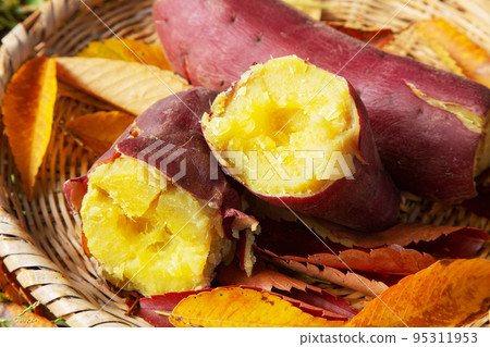  Sweet potato 95311953