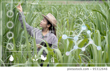 Woman smart farmer working 95312648